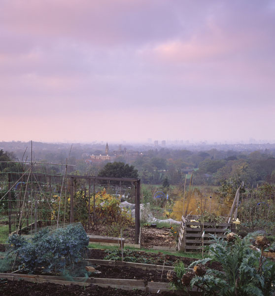 Dulwich-Landscape-with-Painted-Evening-Mist