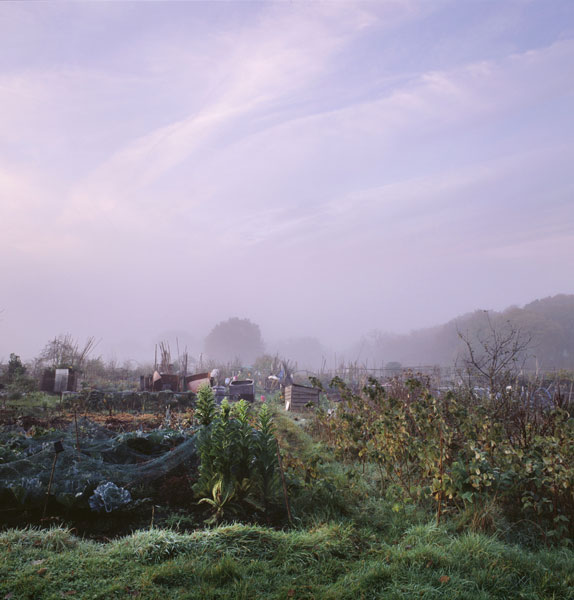 The-Beauty-of-the-Fog
