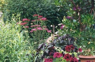 garden-g