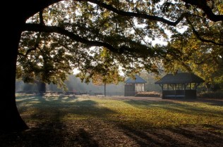 Dulwich Park 1