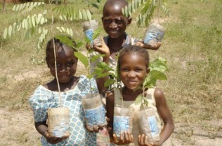 Tree Aid photo