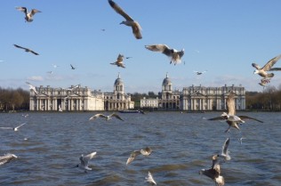 GreenwichCanalettoview_withbirds