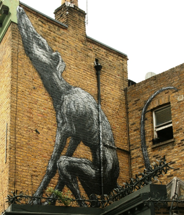 Roa Victoria WEB 2