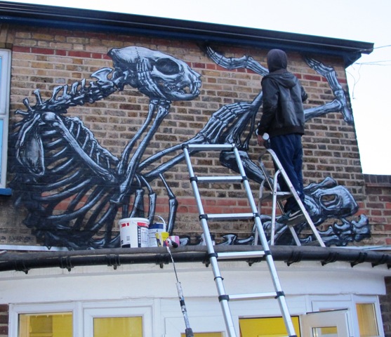 webRoa painting the skeleton of a cat. 1.5.13  (2)