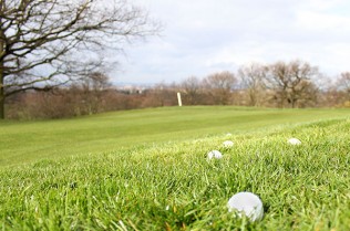 Dulwich and Sydenham Hill Golf Club 2