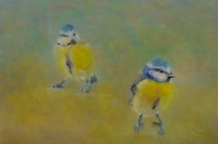 Blue Tits, Kent, 30.03.2014,
Acrylic on Canvas, 20.4 x 20.4cm