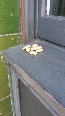 admin-ajax