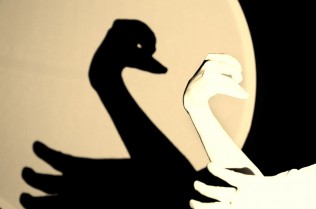 sktqlgM6SqUlkf9p1hxPjZq05y7at1N9N91bSBafGho