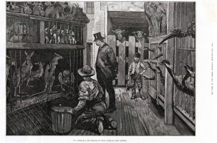 The Collector inspecting some new supplies! London Illustrated News