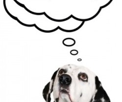 Dog owner poster